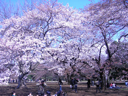20180420_img1