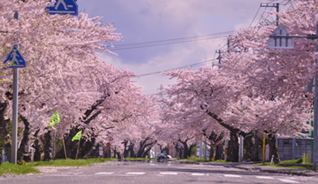 201805024_img1