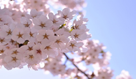 201805024_img3