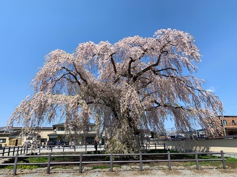 20190517_img1