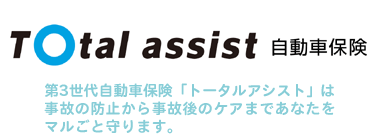 ��O���㎩���ԕی�