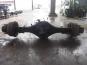   ISUZU FORWARD-04