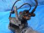   MITSUBISHI FUSO GREAT-04