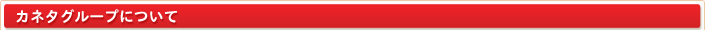 カネタグループについて