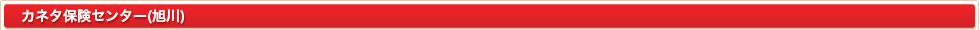 カネタ保険センタ―(旭川)